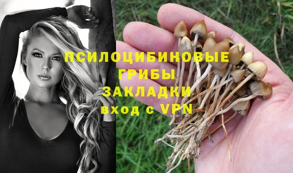 хмурый Баксан