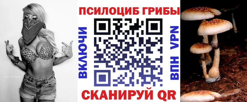 Псилоцибиновые грибы Magic Shrooms  наркота  Златоуст 